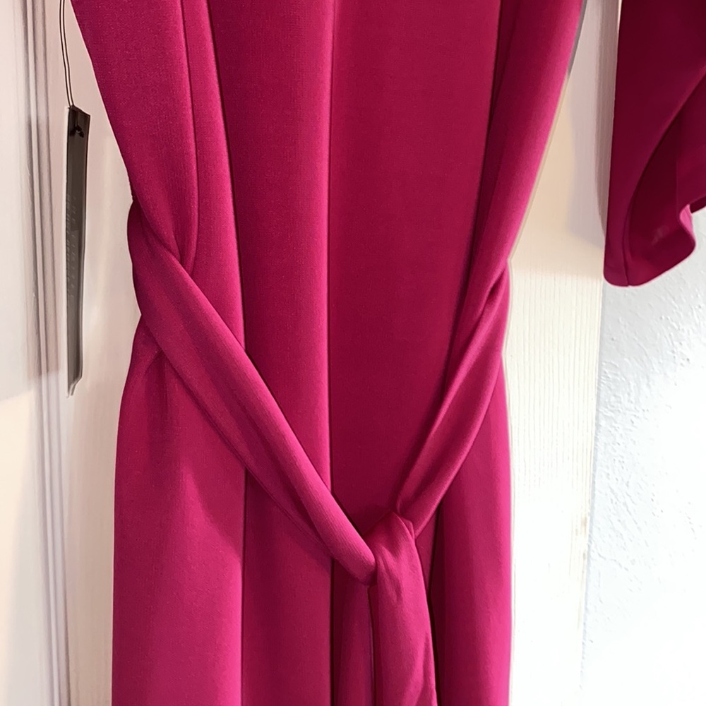 The Limited Berry Fuchsia Pink Open Sleeve Tie Waist Lined Dress NWT - Picture 6 of 12